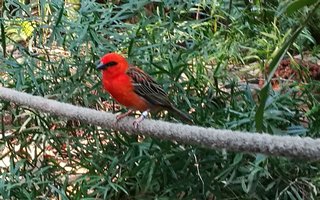 Was bringt Dir Qi Gong